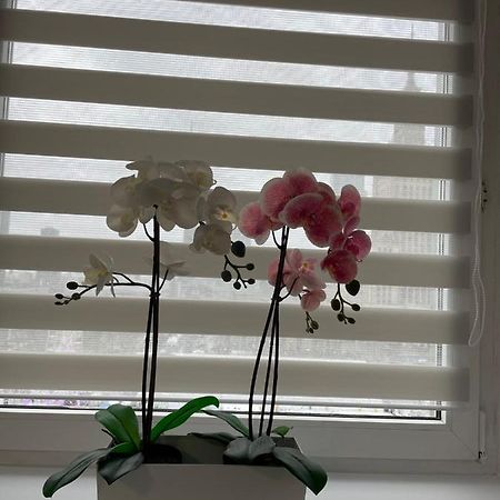 Apartamenty W Centrum Warszawy Warsaw Ngoại thất bức ảnh
